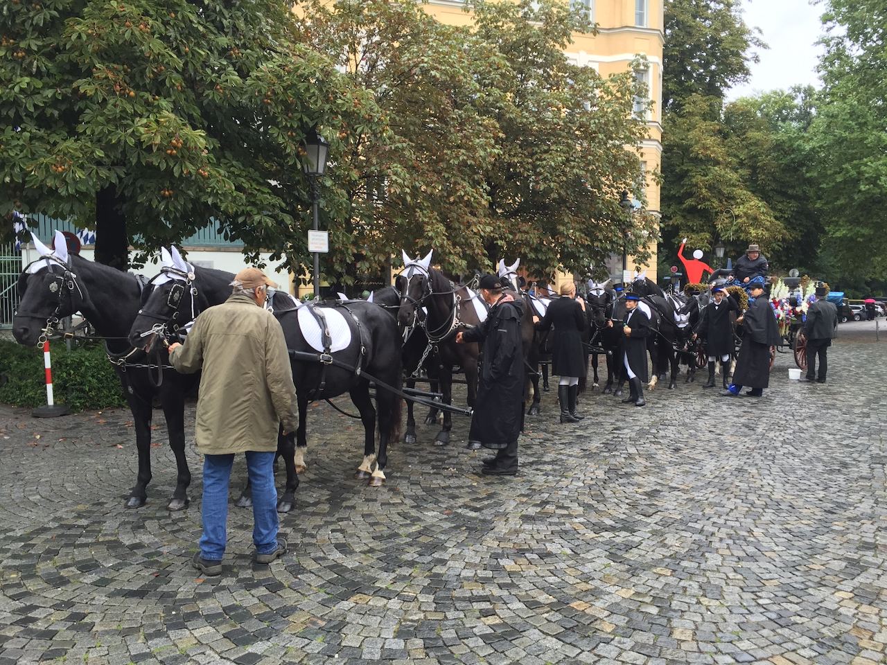 Pferde auf dem Platz